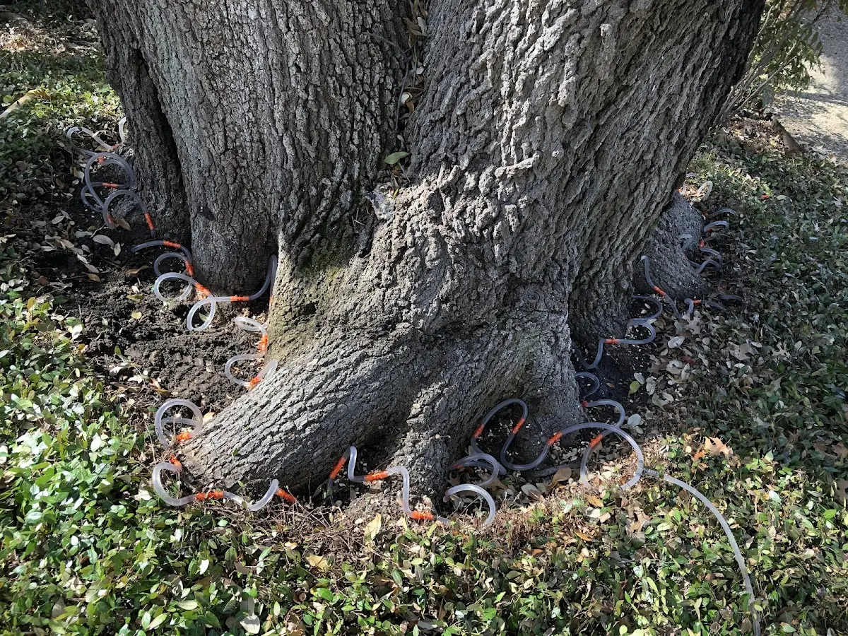 Detailed Shrub and Hedge Trimming job site in Rufe