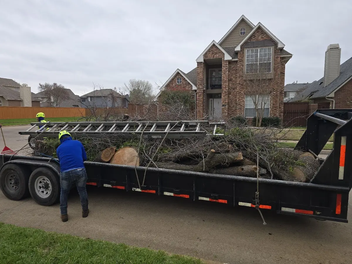 Expert Lot Clearing with proper safety equipment in Rufe